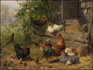 Carl Jutz, Kury, Kogut, Ptactwo, Obraz, Malarstwo, Zagroda, Wiejska, Domowe, Kurczaki