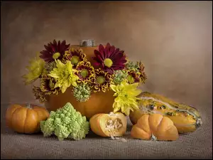 Dynie, Romanesco, Chryzantemy, Kwiaty, Kalafior zielony