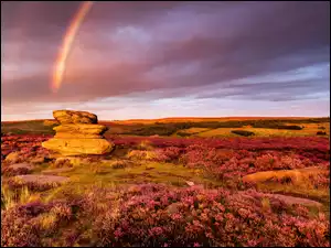 Zachód słońca i tęcza na wrzosowisku w Parku Narodowym Peak District w Anglii