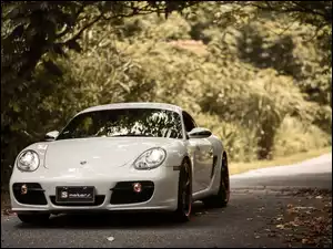 Droga, Porsche Cayman S