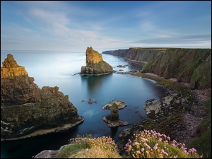 Przylądek Duncansby Stacks w Szkocji