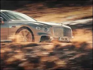 Srebrny, sportowy Bentley Flying Spur