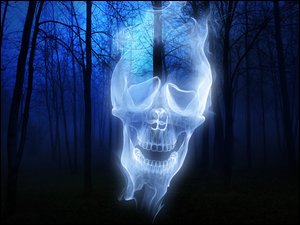 Halloween, Czaszka, Las, Mroczny, Duch