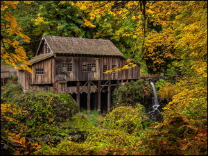 Woodland, Jesień, Drzewa, Stan Waszyngton, Młyn Cedar Creek Grist Mill, Las, Stany Zjednoczone, Rzeka