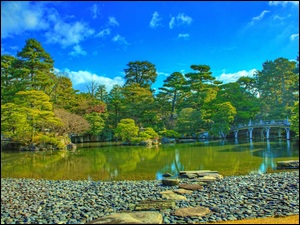 Kioto, Japonia, Most, Drzewa, Park, Staw