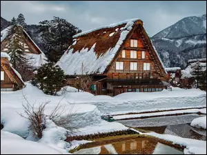 Góry, Japonia, Zima, Drzewa, Wieś Shirakawa, Domy, Staw, Prefektura Gifu