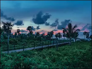 Wyspa Cayo Coco na Kubie