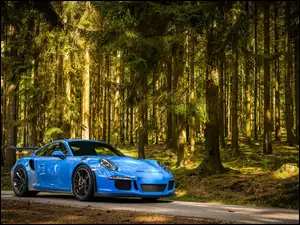 Las, Niebieskie, Porsche 911 GT3