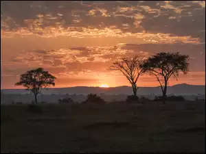 Chmury, Zachód słońca, Kisoro, Afryka, Drzewa, Uganda