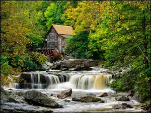 Drzewa, Stany Zjednoczone, Młyn, Rzeka New River Gorge, Wirginia Zachodnia, Glade Creek Grist Mill, Kamienie, Park Babcock State