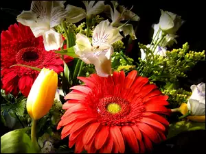 Alstremeria, Kwiaty, Bukiet, Gerbera