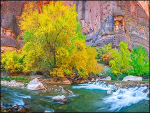 Roślinność, Stany Zjednoczone, Kanion Zion Narrows, Kamienie, Stan Utah, Skały, Rzeka Virgin River, Park Narodowy Zion