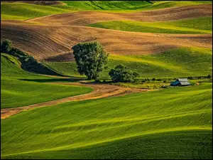 Zielone pola i wzgórza