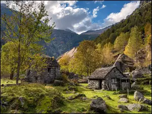 Szwajcaria, Drzewa, Kanton Tessyn, Dolina, Valle Maggia, Kamienne, Domy, Góry, Kamienie