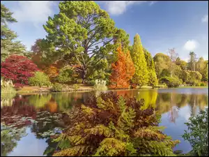 Jesienny park w Sheffield