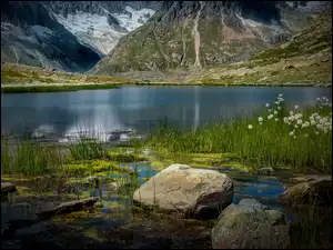 Trawy w jeziorze Marjelensee