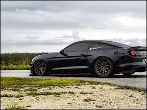 Bok, Czarny, Ford Mustang