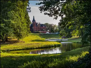 Park, Staw, Polska, Zamek w Wąsowie, Województwo wielkopolskie, Wąsowo, Drzewa