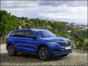 Skoda Kodiak RS, Niebieska