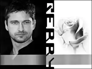 Gerard Butler, róża