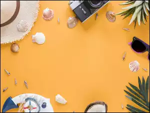 Okulary, Kapelusz, Liść palmy, Aparat fotograficzny, Muszelki, Kokos, Wakacje, Kotwica