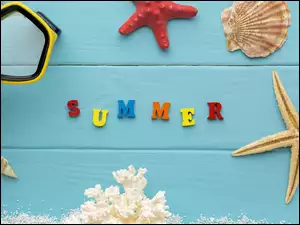 Muszelki, Rozgwiazdy, Summer, Kompozycja, Napis, Koralowiec