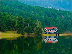 Bolu, Turcja, Dom, Góry, Jezioro Golcuk, Lasy