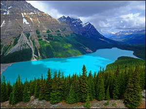 Widok zza drzew na jezioro i góry w parku narodowym Banff w Kanadzie