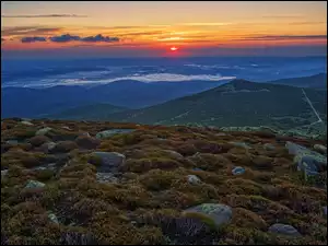 Wzgórza, Rośliny, Polska, Wschód słońca, Karkonosze, Góry, Kamienie