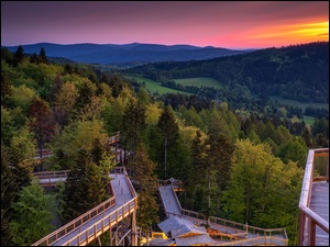 Polska, Lasy, Powiat nowosądecki, Wieża widokowa, Krynica Zdrój, Drzewa, Zachód słońca, Góry, Pomosty