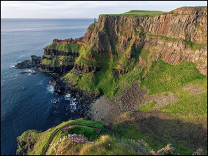 Strome wybrzeże Giants Causeway w hrabstwie Antrim
