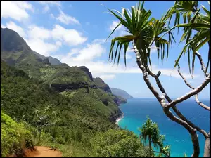 Zatoka Napali