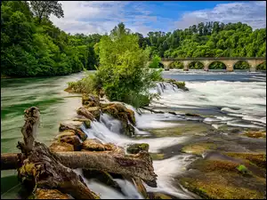 Wodospad Rheinfall przy moście nad Renem w Szwajcarii