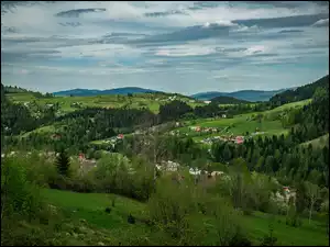 Domki i drzewa w górach