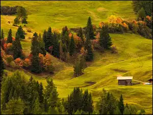Włochy, Seiser Alm, Drzewa, Drewniane, Domy, Dolina Val Gardena, Wzgórza, Płaskowyż, Łąki