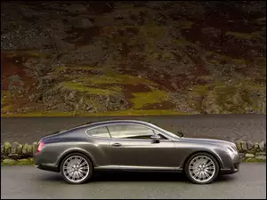 Hamulcowe, Bentley Continental GT, Tarcze