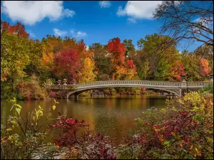 Jezioro, Jesień, Central Park, Most, Nowy Jork, Drzewa, Stany Zjednoczone, Manhattan