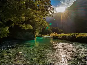 Roślinność, Park Narodowy Mount Aspiring, Kamienie, Poranek, Rzeka, Góry, Drzewa, Nowa Zelandia, Promienie słoneczne