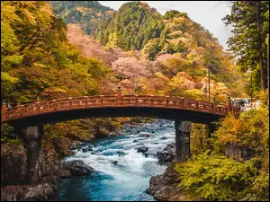Japonia, Daiya River, Nikko, Drzewa, Jesień, Most, Shinkyo Bridge, Rzeka, Góry
