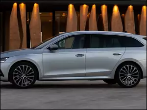 Bok, Skoda Octavia, Kombi