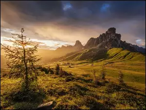Włochy, Dolomity, Drzewo, Chmury, Droga, Góra Ra Gusela, Przełęcz Giau Pass, Góry, Wschód słońca
