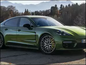 Bok, Zielone, Porsche Panamera S