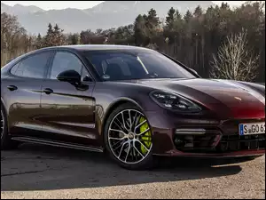 Hybryda, Porsche Panamera E