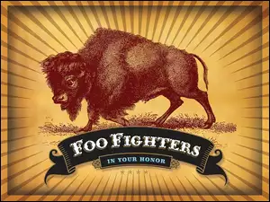 Foo Fighters, baran