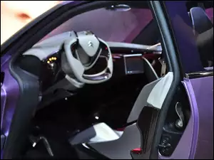 Citroen Revolte, Drzwi