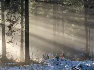 Przebijające światło