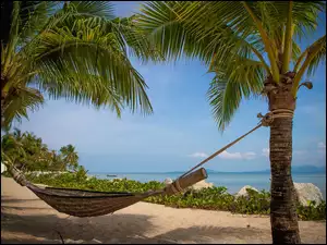 Hamak na palmach