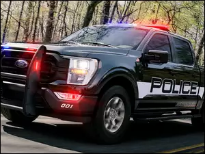 Policyjny, Ford F-150