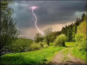 Błyskawice na niebie nad leśną ścieżką