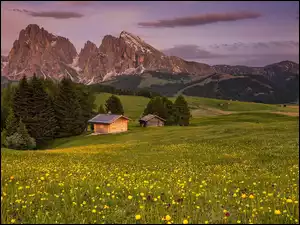 Domy, Góry Sassolungo, Drewniane, Włochy, Łąka, Dolomity, Dolina, Chmury, Płaskowyż Seiser Alm, Val Gardena, Drzewa, Kwiaty